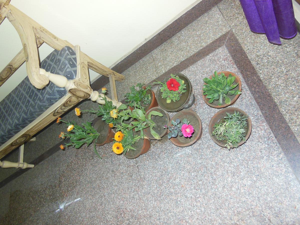 Shiva Inn Varanasi Exteriör bild
